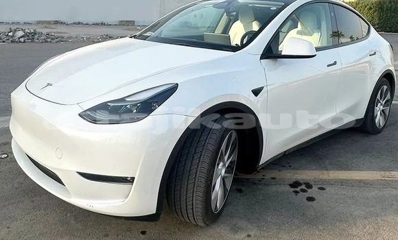 Buy Used Tesla Model X White Car in Buston in Sughd Buy Used Tesla Model X White Car in Buston in Sughd