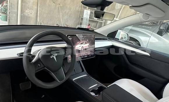 Buy Used Tesla Model X White Car in Buston in Sughd Buy Used Tesla Model X White Car in Buston in Sughd