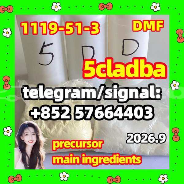 Big with watermark 54