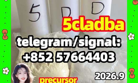 Medium with watermark 54