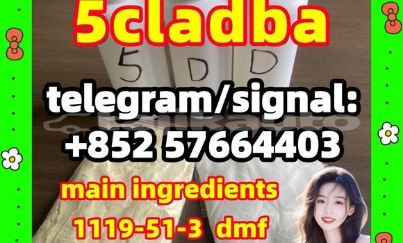 Medium with watermark 51