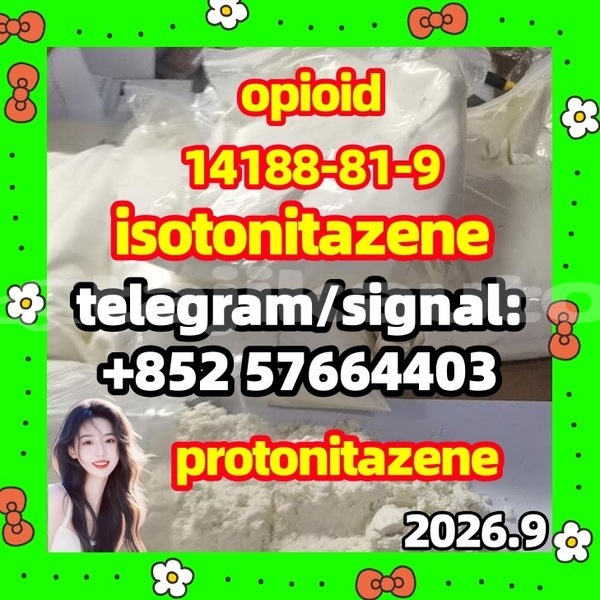 Big with watermark i1