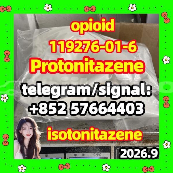 Big with watermark p1