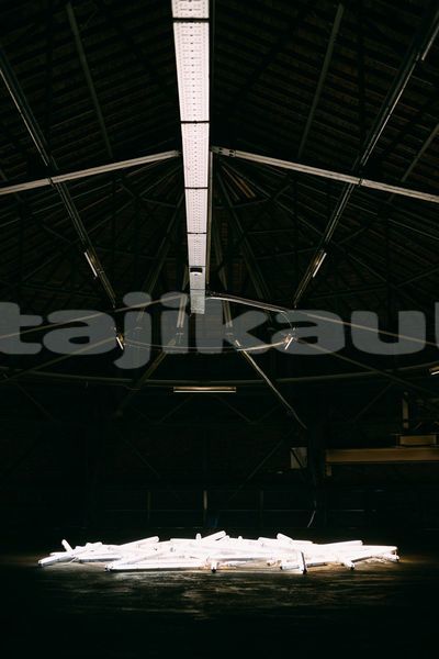 Big with watermark image