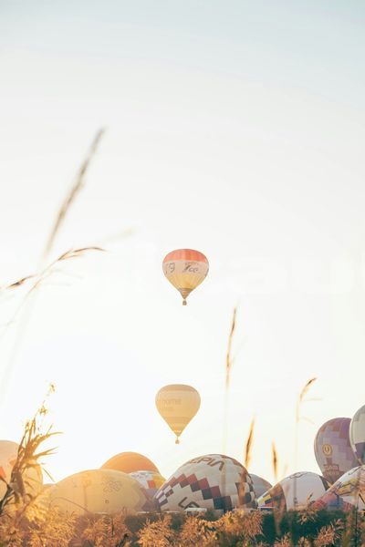 Big with watermark image