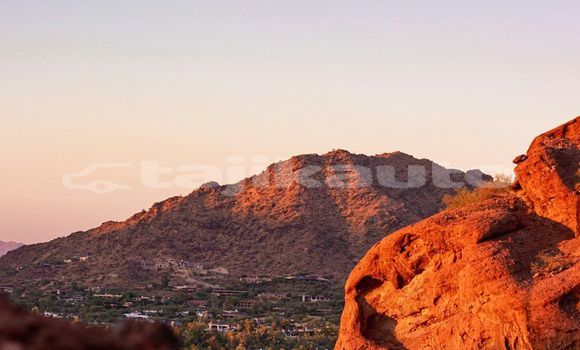 Medium with watermark image