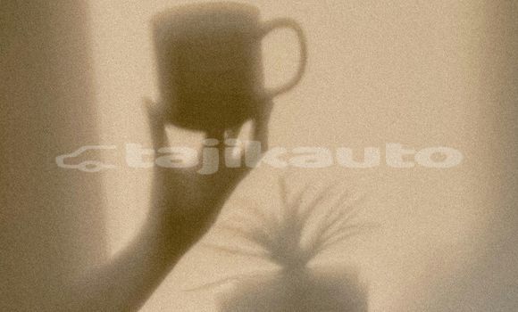 Medium with watermark image