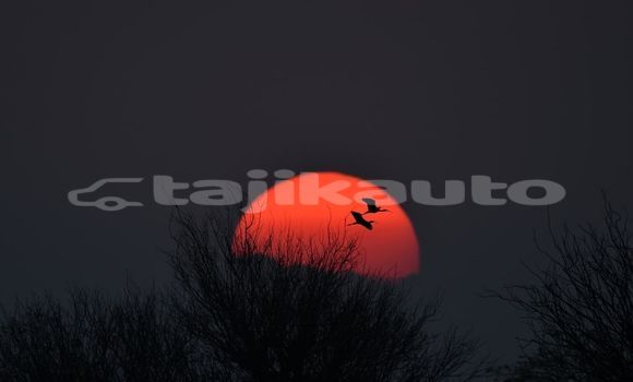 Medium with watermark image