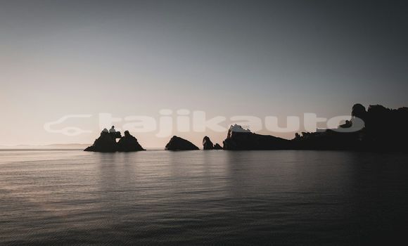 Medium with watermark image