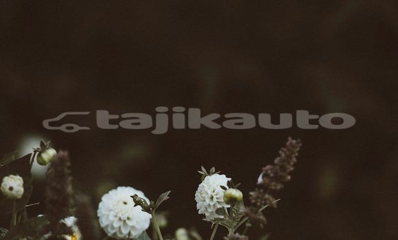 Medium with watermark image