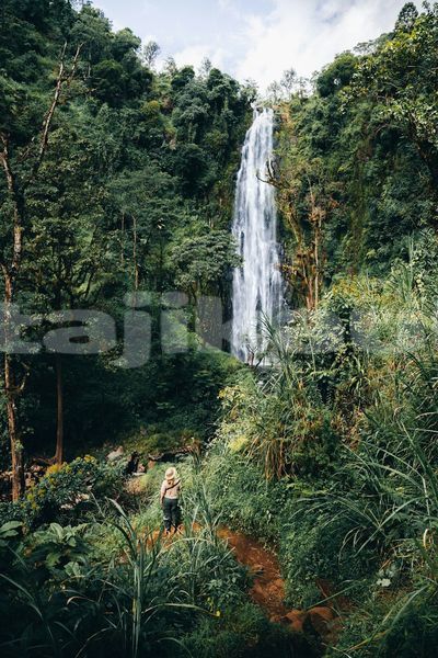 Big with watermark image