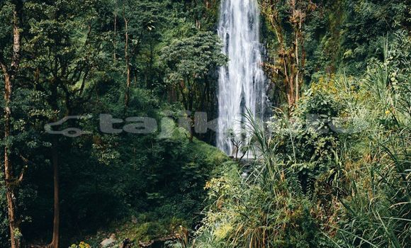 Medium with watermark image