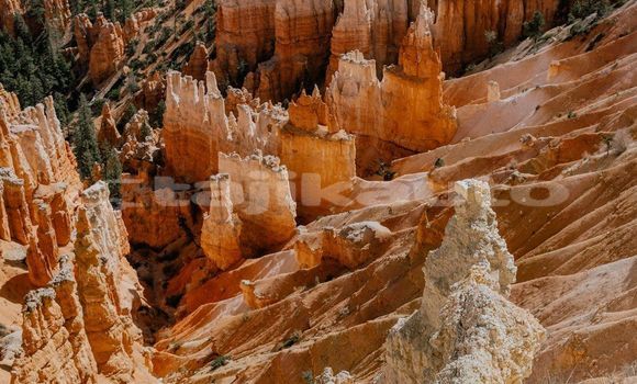 Medium with watermark image