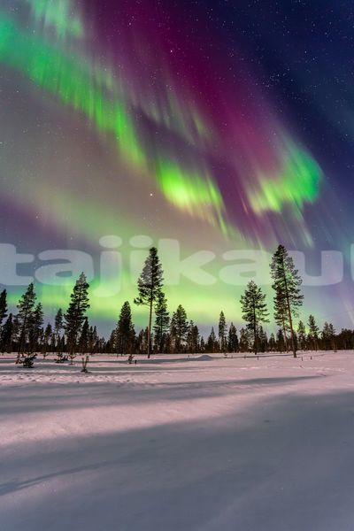 Big with watermark image