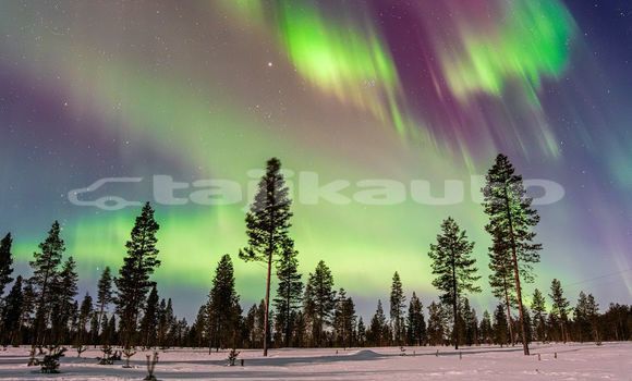 Medium with watermark image