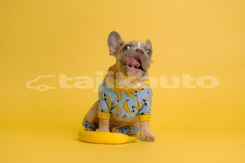 Big with watermark image