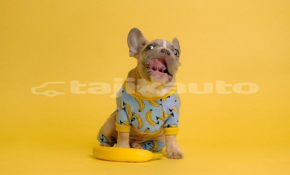 Medium with watermark image