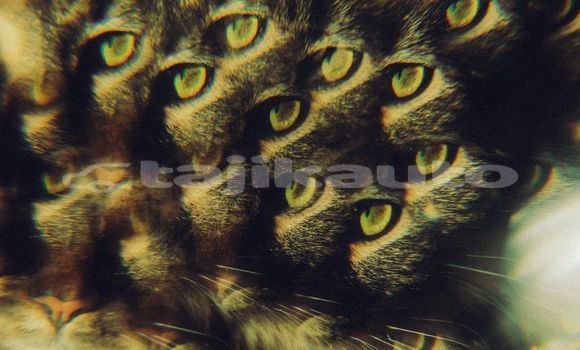 Medium with watermark image