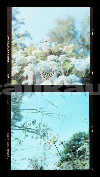 Big with watermark image