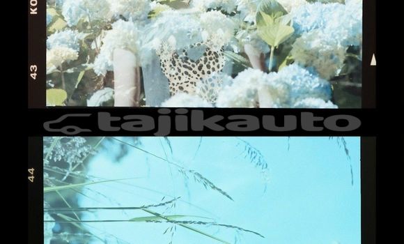 Medium with watermark image