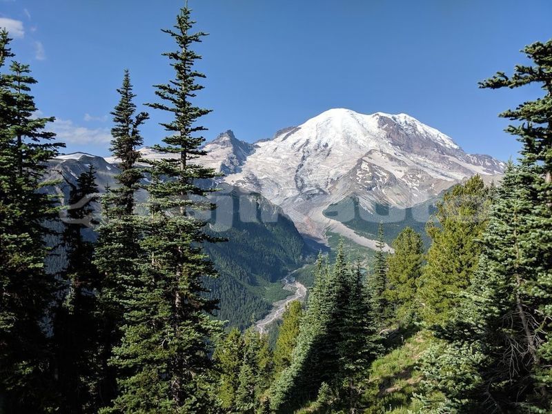 Big with watermark image