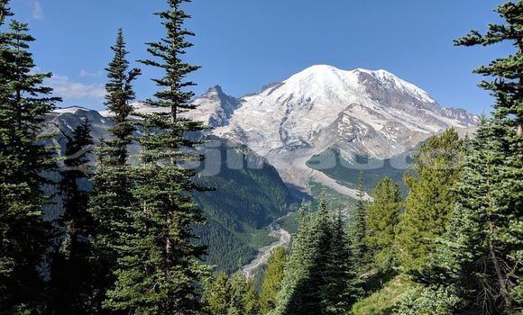 Medium with watermark image