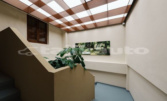Medium with watermark image
