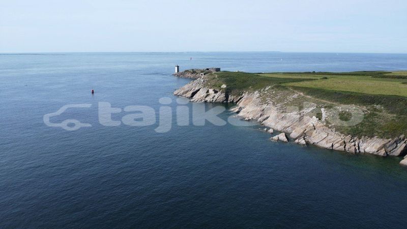 Big with watermark image