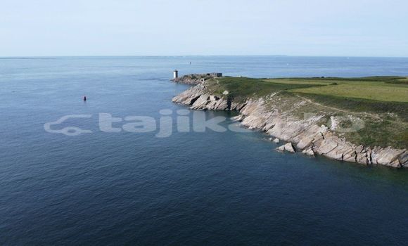 Medium with watermark image