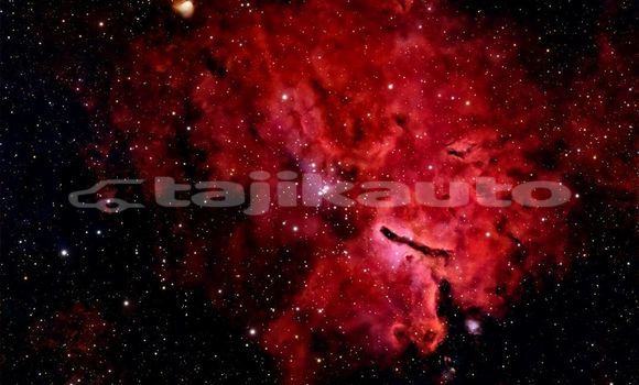 Medium with watermark image