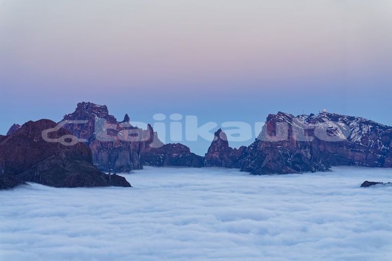 Big with watermark image