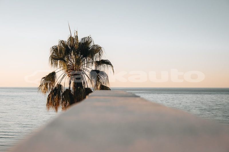 Big with watermark image