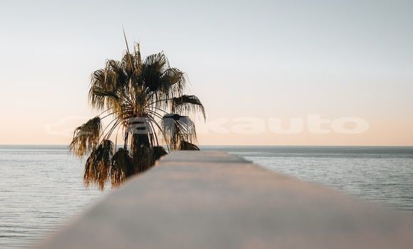 Medium with watermark image