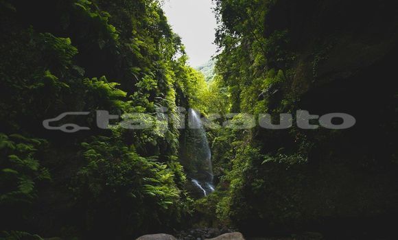 Medium with watermark image