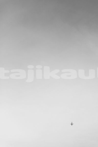 Big with watermark image