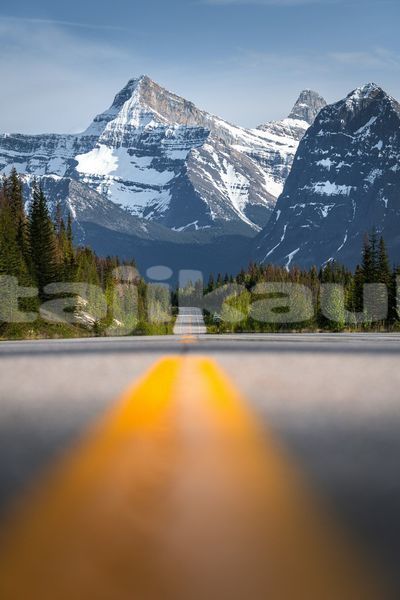 Big with watermark image