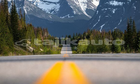 Medium with watermark image
