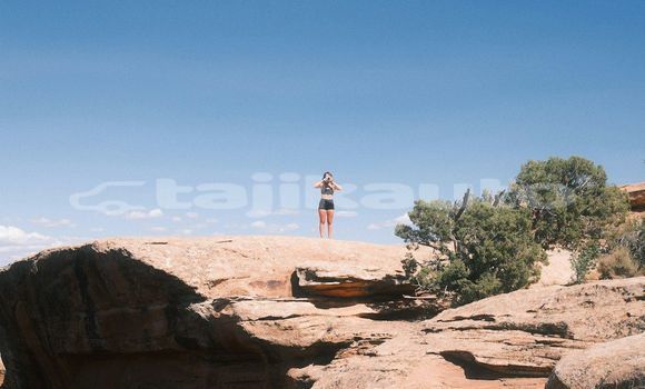 Medium with watermark image