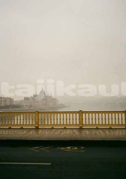 Big with watermark image