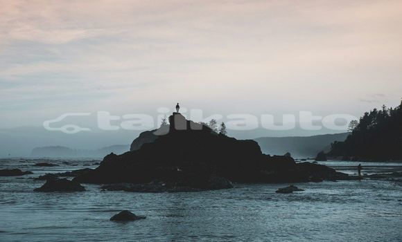 Medium with watermark image