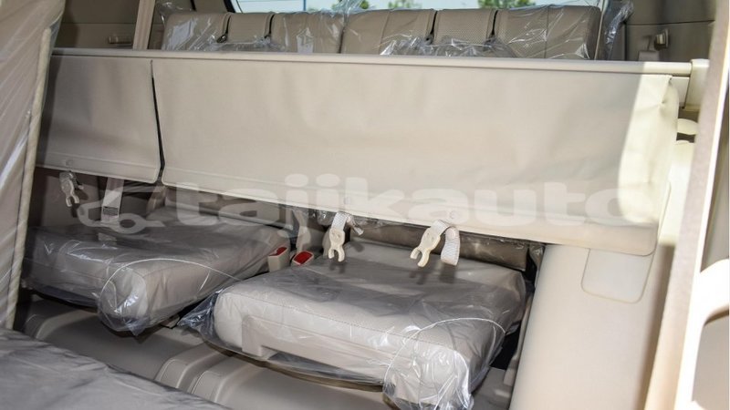 Big with watermark 8