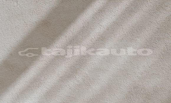 Medium with watermark image