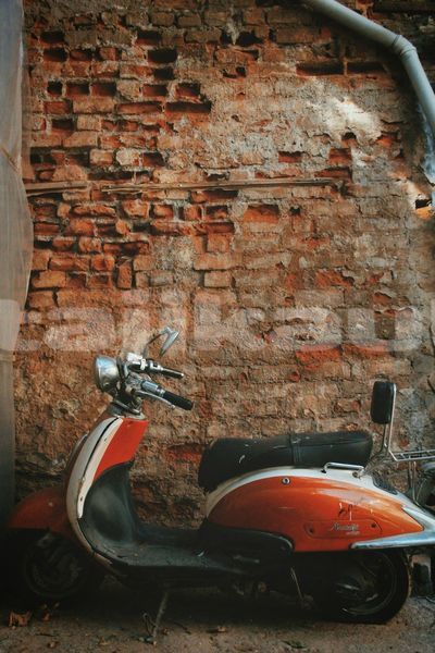 Big with watermark image