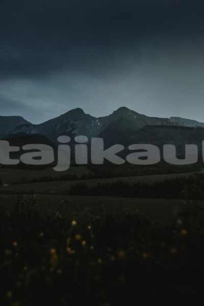Big with watermark image