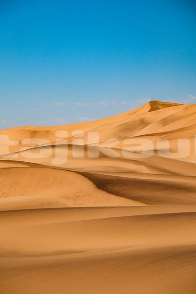 Big with watermark image