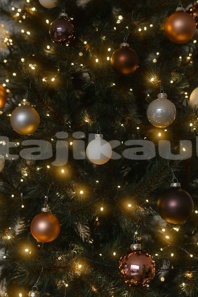 Big with watermark image