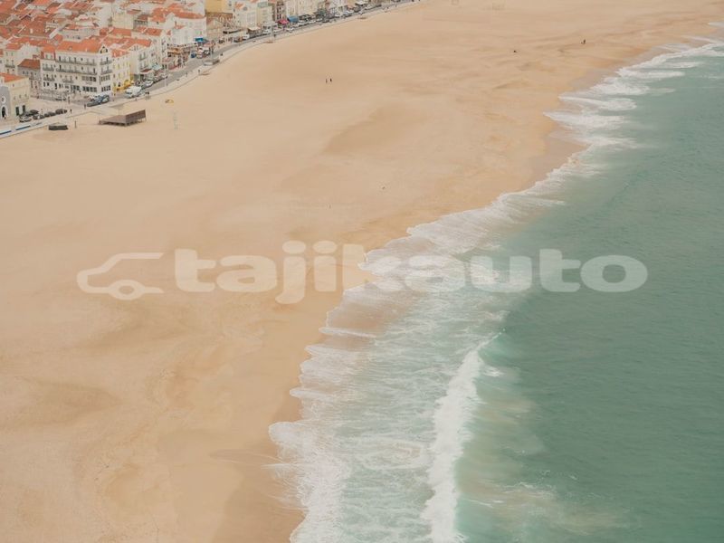 Big with watermark image
