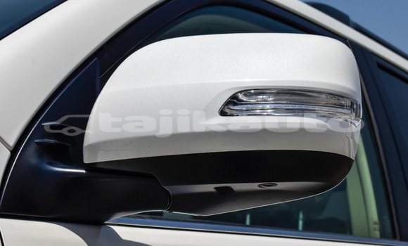 Buy New Toyota Land Cruiser Prado White Car in Adrasmon in Sughd Buy New Toyota Land Cruiser Prado White Car in Adrasmon in Sughd