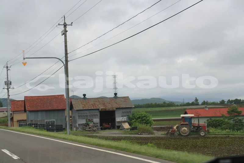 Big with watermark image