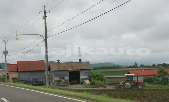 Medium with watermark image